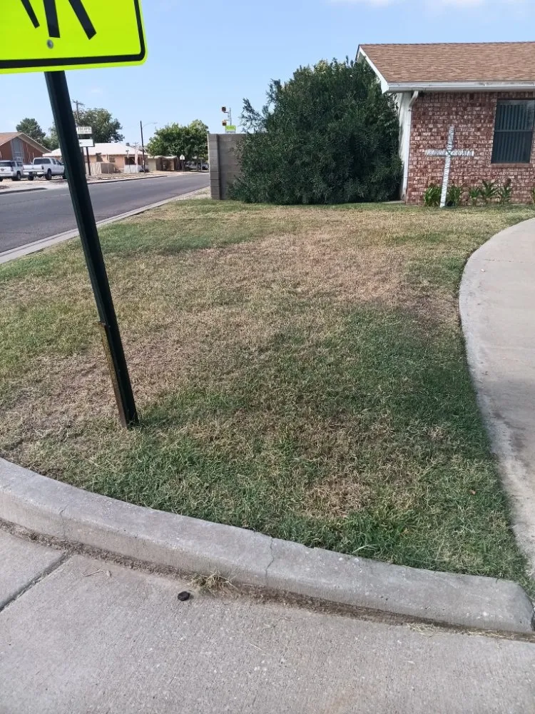 Expert lawn care service for beautiful yards across Artesia, NM - Coles Legacy