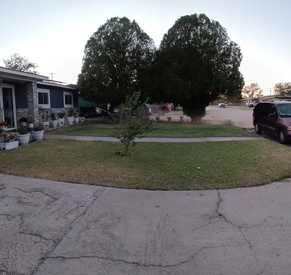 Affordable landscaping services in Artesia, NM by Coles Legacy