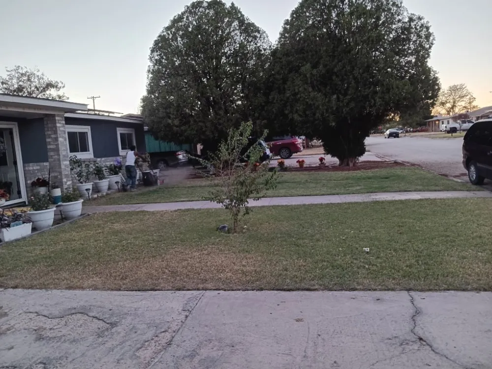 Custom lawn care service in Artesia, NM - Coles Legacy