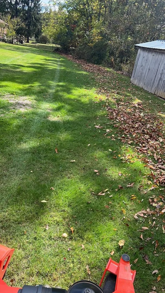 Trusted lawn mowing service in Madison Heights, VA by Coles Mowing