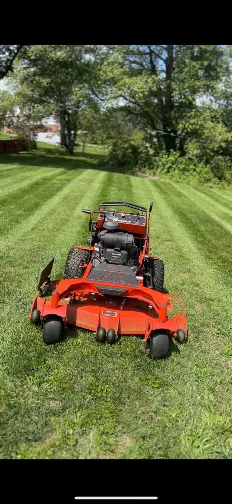 Trusted yard cleanup service in Madison Heights, VA by Coles Mowing