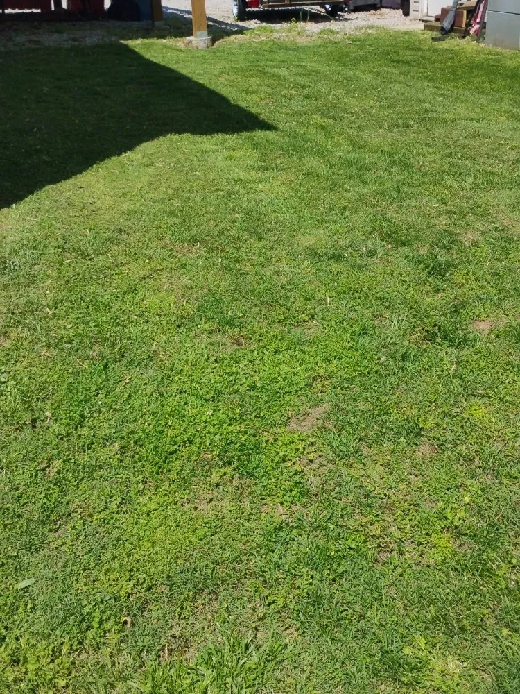 Expert landscape installation experts serving Wood River, IL - Cole's Mowing Service