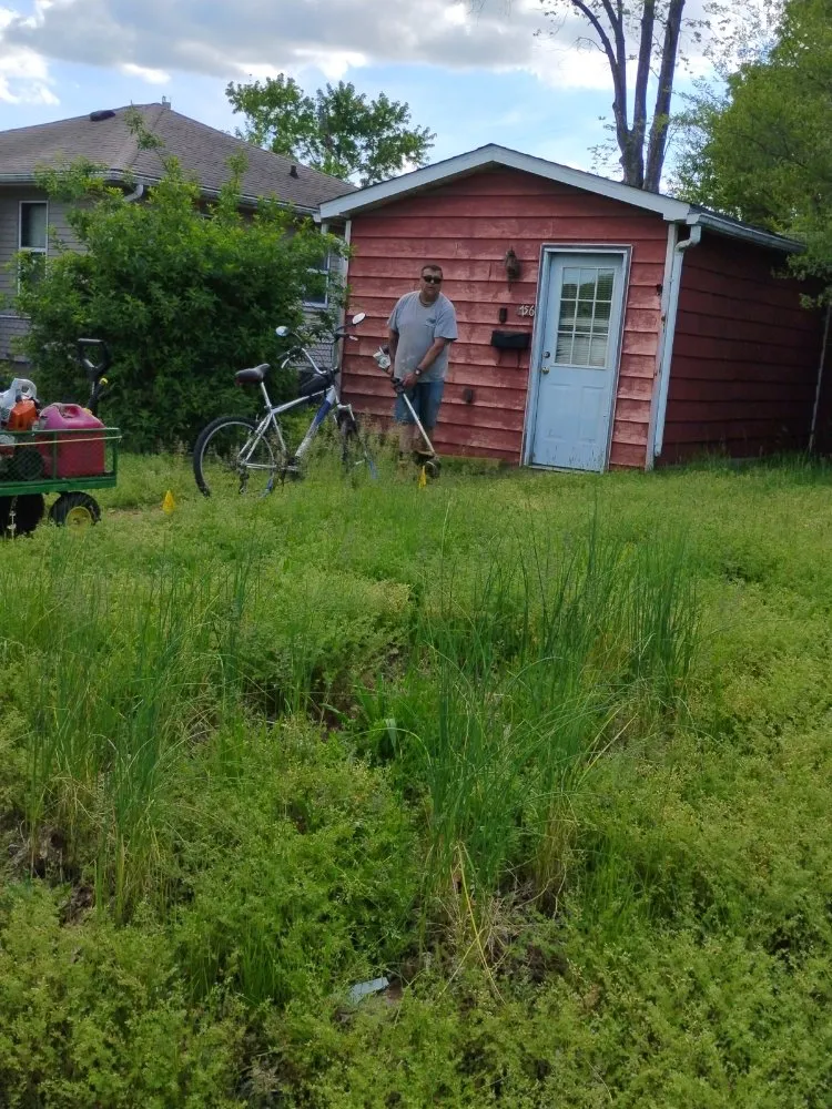 Trusted lawn mowing service for beautiful yards in Wood River, IL by Cole's Mowing Service