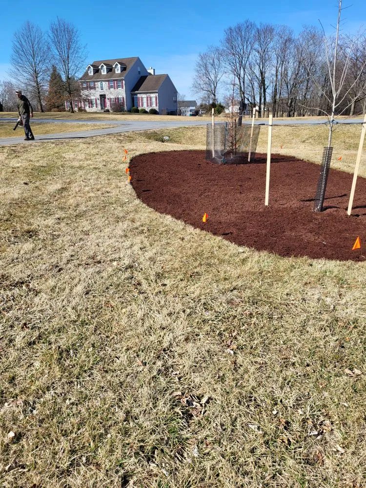Custom landscaping services in Martinsburg, WV - Cole's No Mow Worries