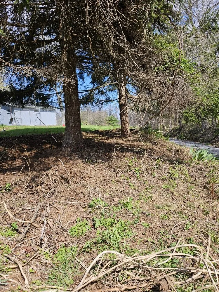 Top-rated landscape installation with custom design across Martinsburg, WV - Cole's No Mow Worries