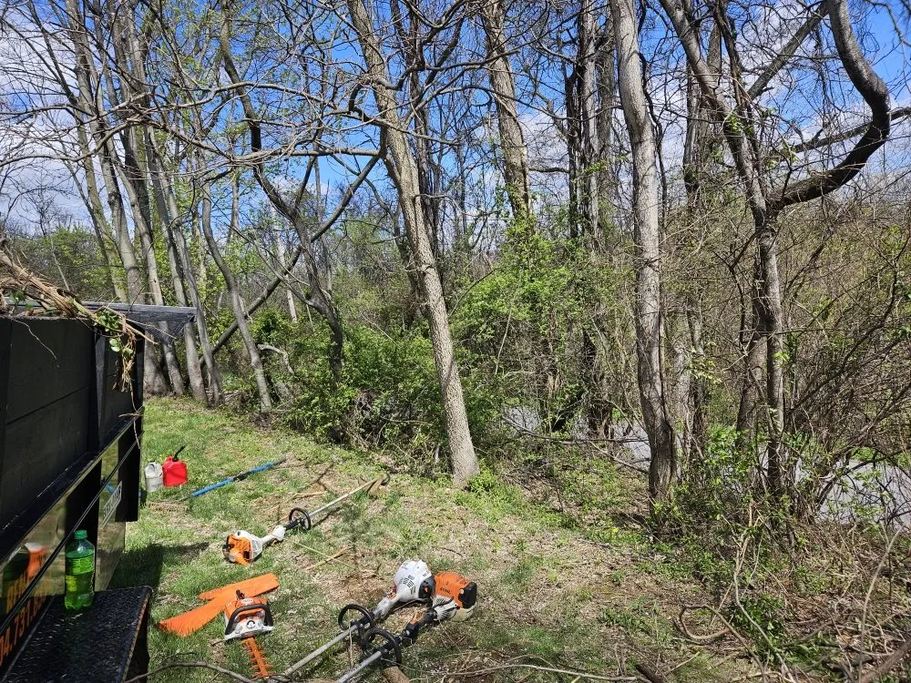 Affordable landscaping services in Martinsburg, WV by Cole's No Mow Worries