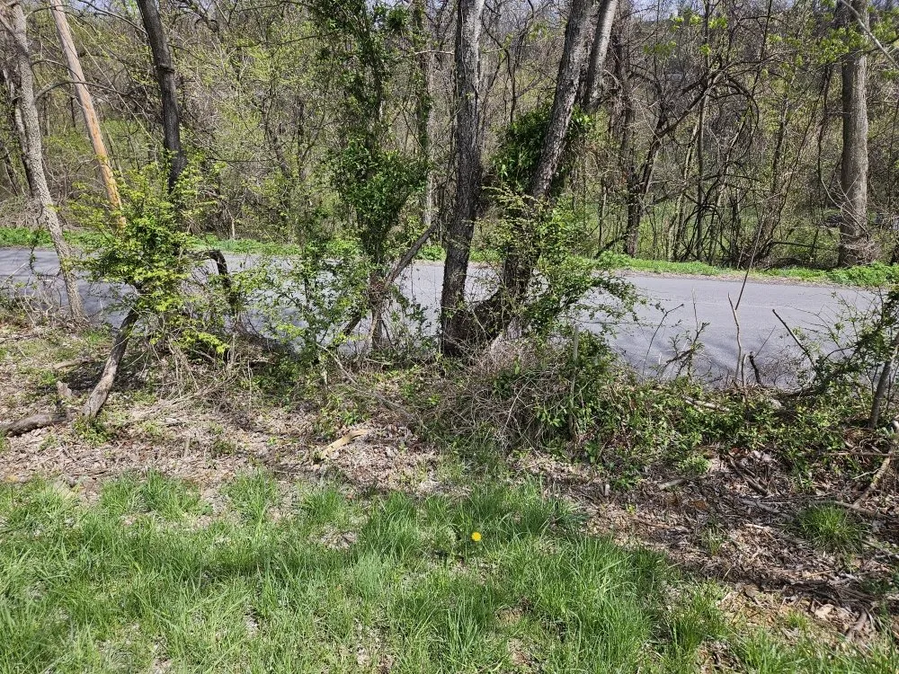 Local outdoor landscaping in Martinsburg, WV - Cole's No Mow Worries