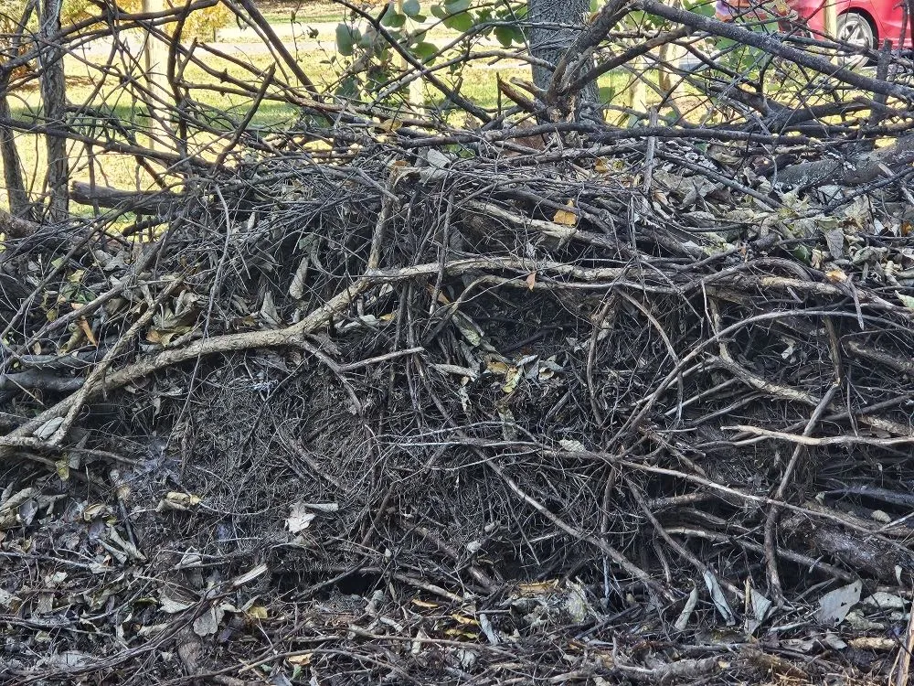 Local landscape design for beautiful yards in Martinsburg, WV by Cole's No Mow Worries