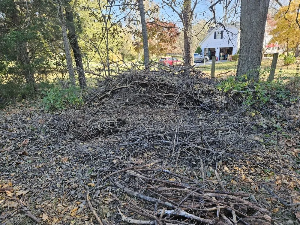 Reliable residential landscaping for residential properties across Martinsburg, WV - Cole's No Mow Worries