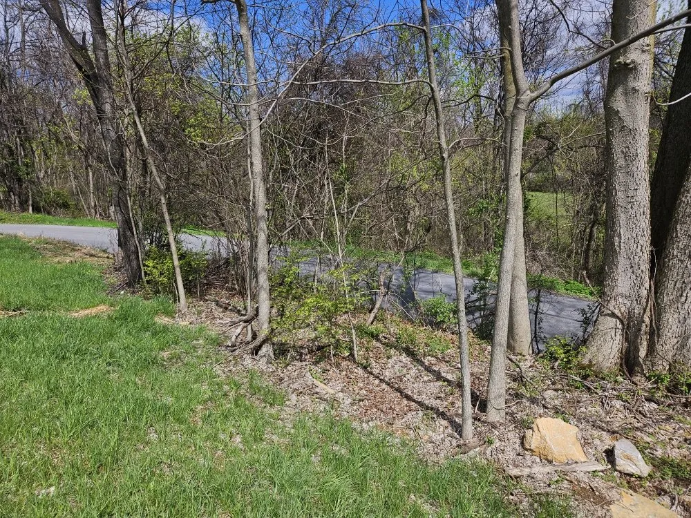 Custom landscape installation with custom design in Martinsburg, WV by Cole's No Mow Worries