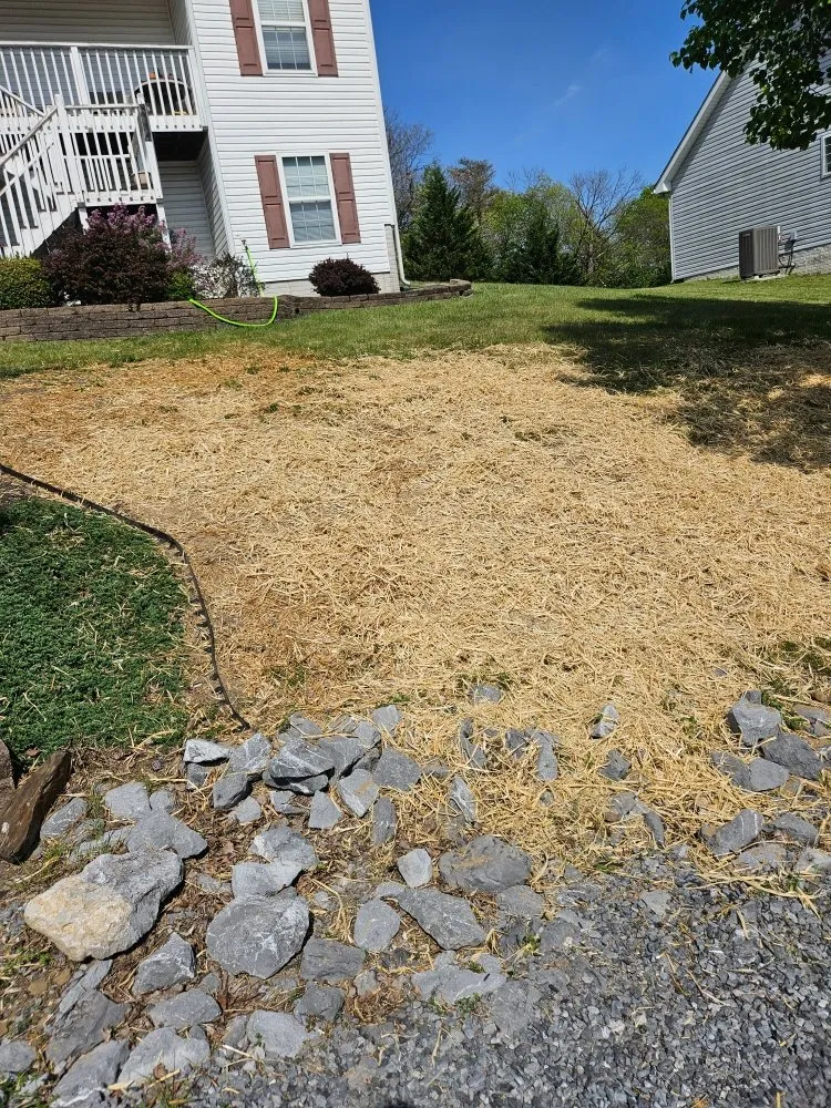 Professional lawn care service for homes across Martinsburg, WV - Cole's No Mow Worries