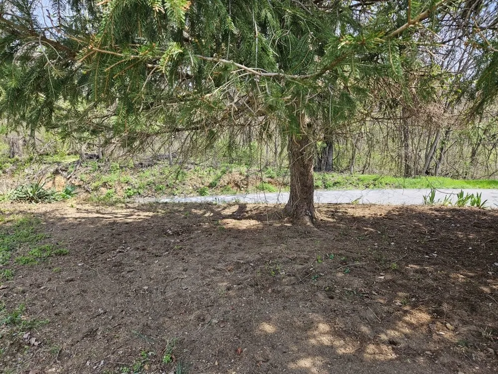 Professional yard cleanup service for homes across Martinsburg, WV - Cole's No Mow Worries