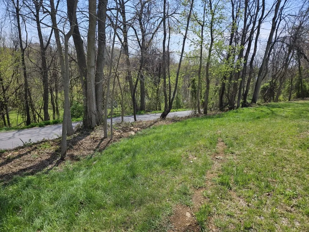 Professional yard cleanup service experts serving Martinsburg, WV - Cole's No Mow Worries