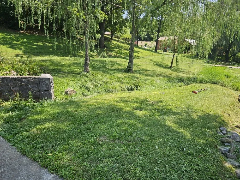 Top-rated landscape design in Martinsburg, WV - Cole's No Mow Worries