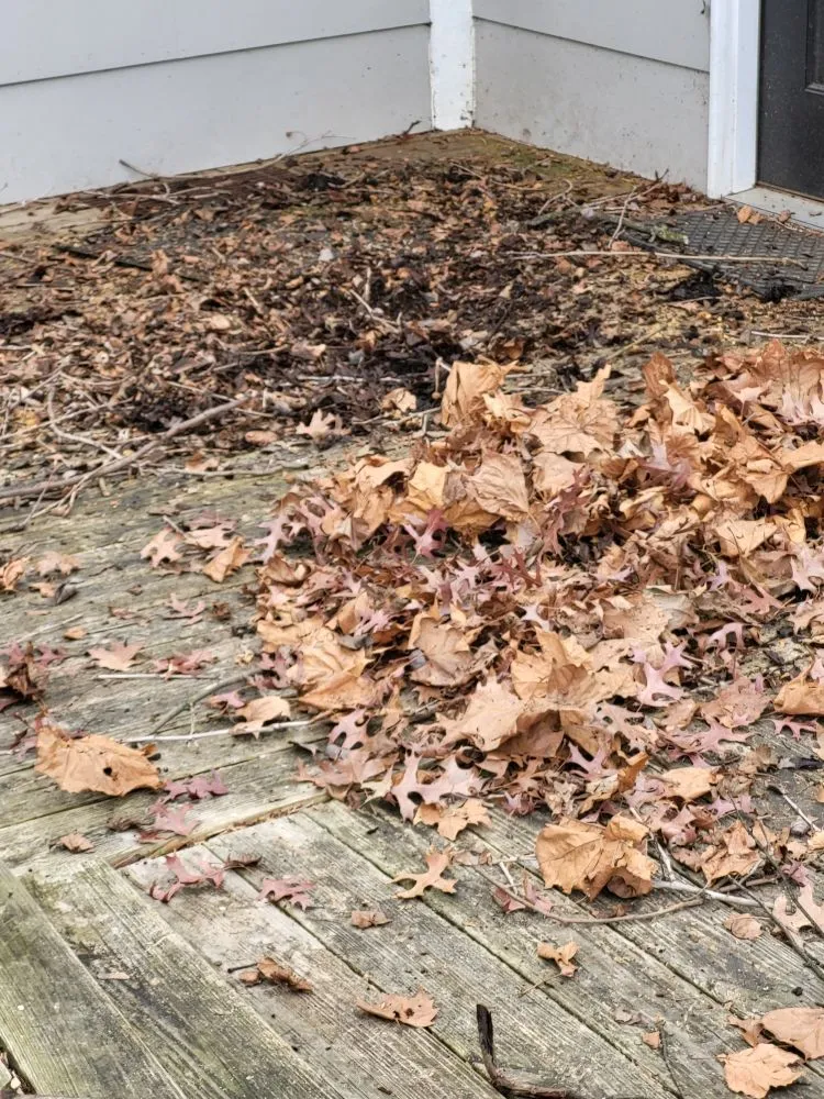 Professional landscape installation experts serving Martinsburg, WV - Cole's No Mow Worries