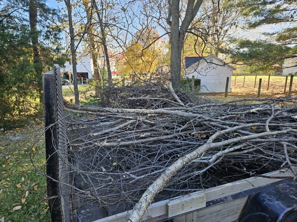 Expert yard maintenance in Martinsburg, WV - Cole's No Mow Worries