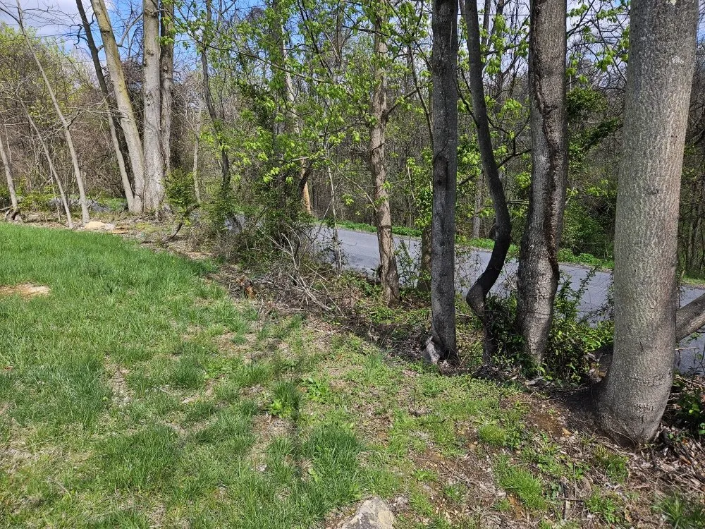 Expert yard cleanup service in Martinsburg, WV by Cole's No Mow Worries