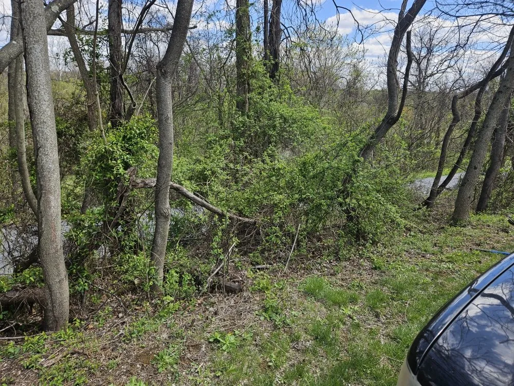 Trusted outdoor landscaping in Martinsburg, WV by Cole's No Mow Worries