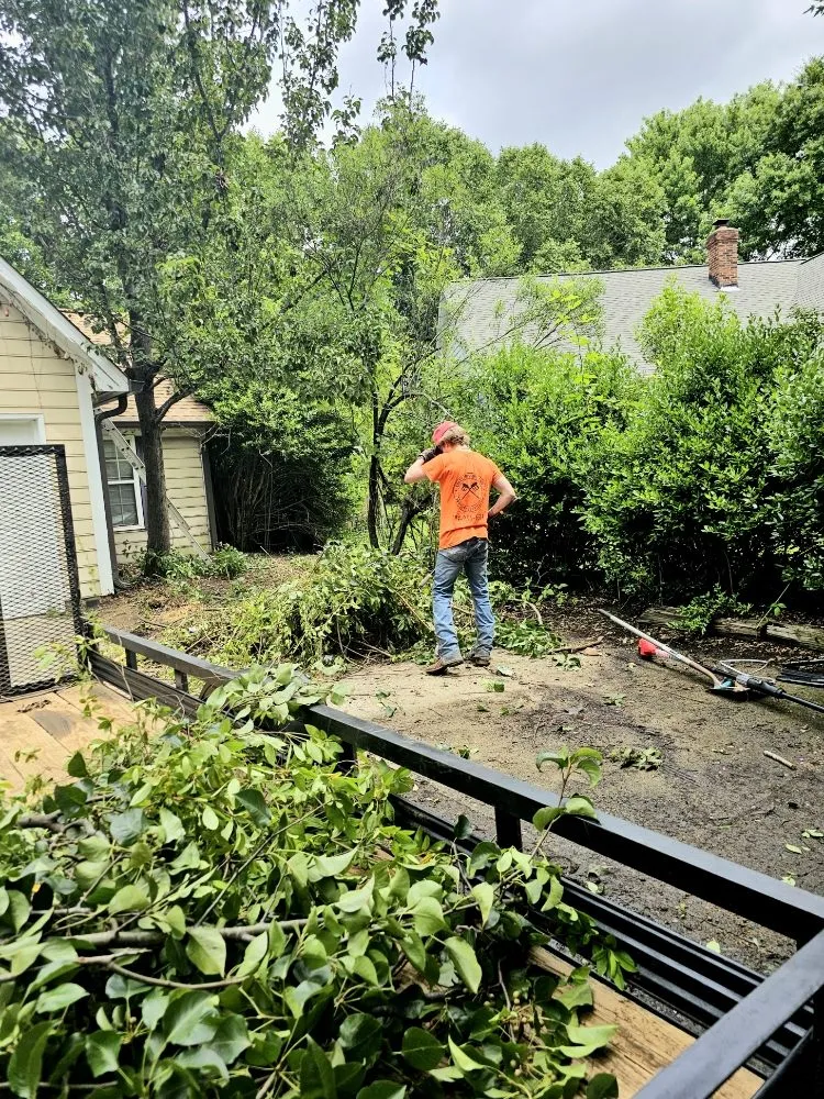 Expert landscaping services in Monroe, NC - Coles Pressure and Property Services