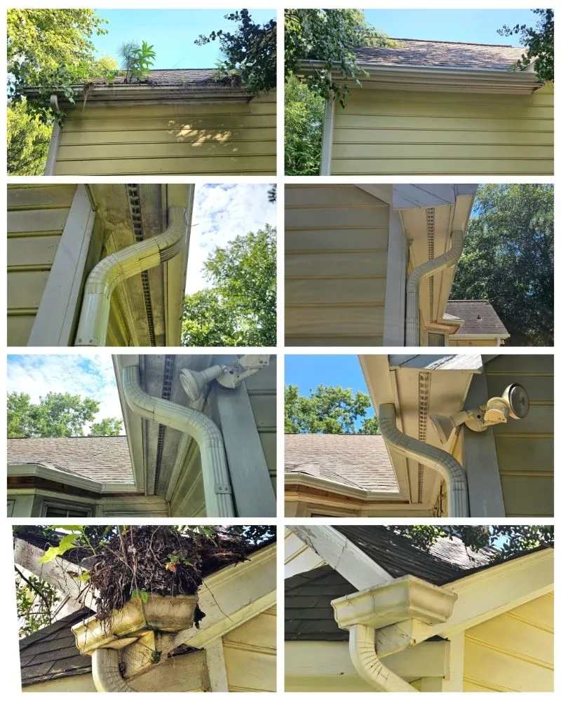 Local yard cleanup service for homes in Monroe, NC by Coles Pressure and Property Services