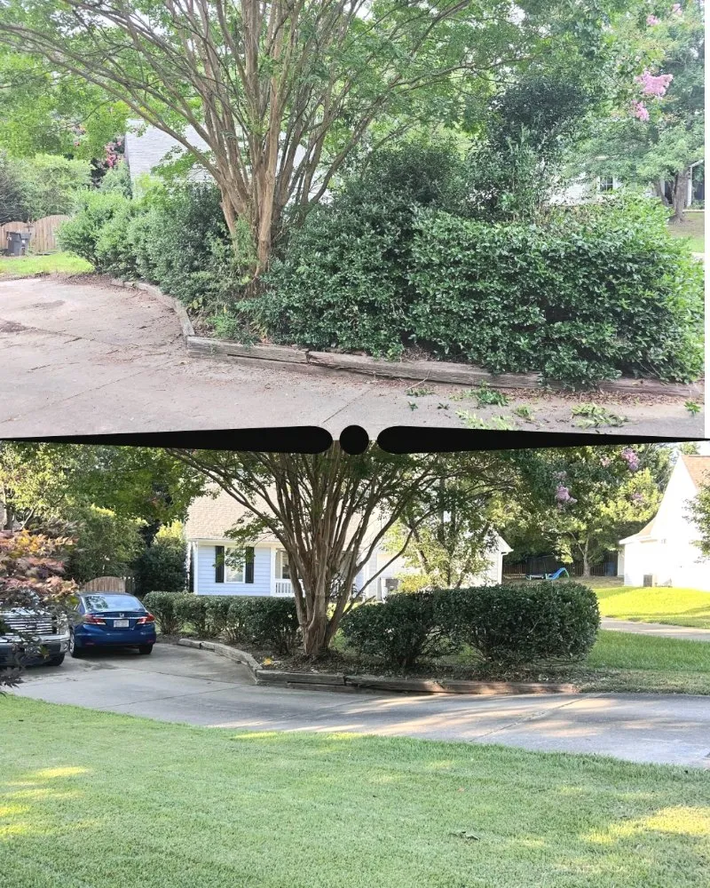 Local landscape design in Monroe, NC - Coles Pressure and Property Services