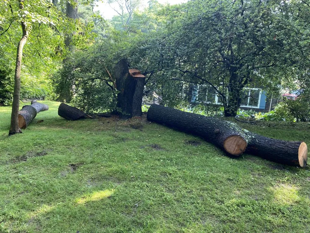 Expert landscape design in Kings Park, NY - Colgan Tree and Landscape Service