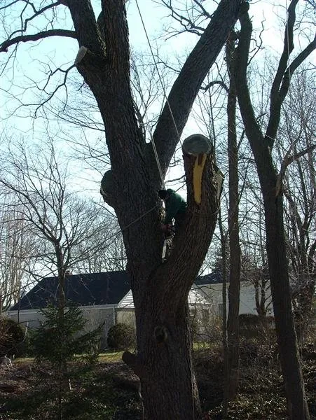 Affordable residential landscaping in Kings Park, NY - Colgan Tree and Landscape Service