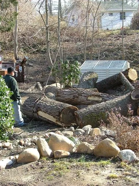 Trusted outdoor landscaping experts serving Kings Park, NY - Colgan Tree and Landscape Service