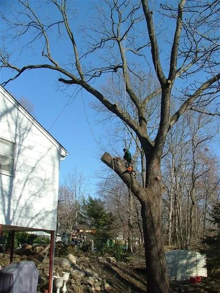 Affordable garden landscaping for beautiful yards across Kings Park, NY - Colgan Tree and Landscape Service