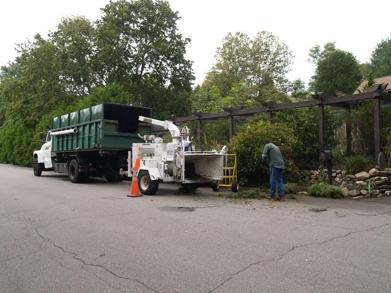 Expert yard cleanup service in Kings Park, NY by Colgan Tree and Landscape Service