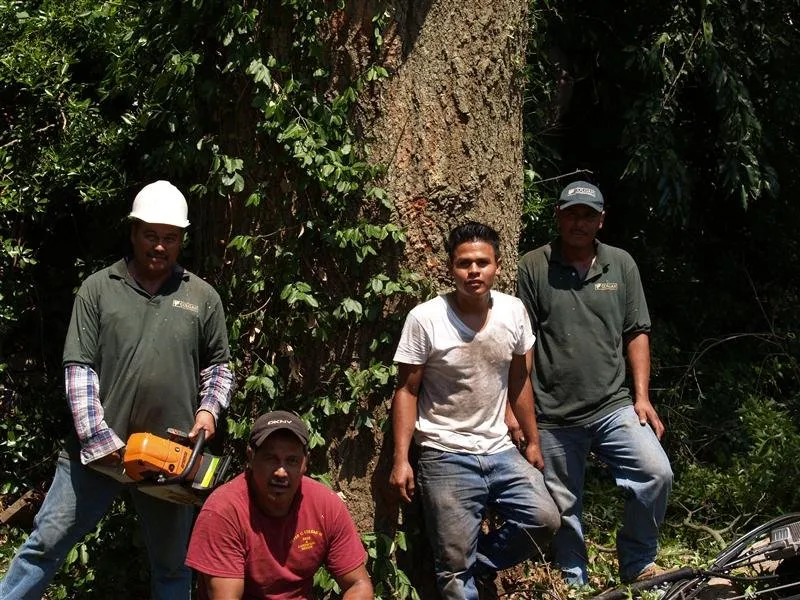 Reliable lawn mowing service for beautiful yards in Kings Park, NY by Colgan Tree and Landscape Service