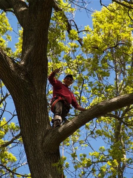 Custom residential landscaping in Kings Park, NY - Colgan Tree and Landscape Service