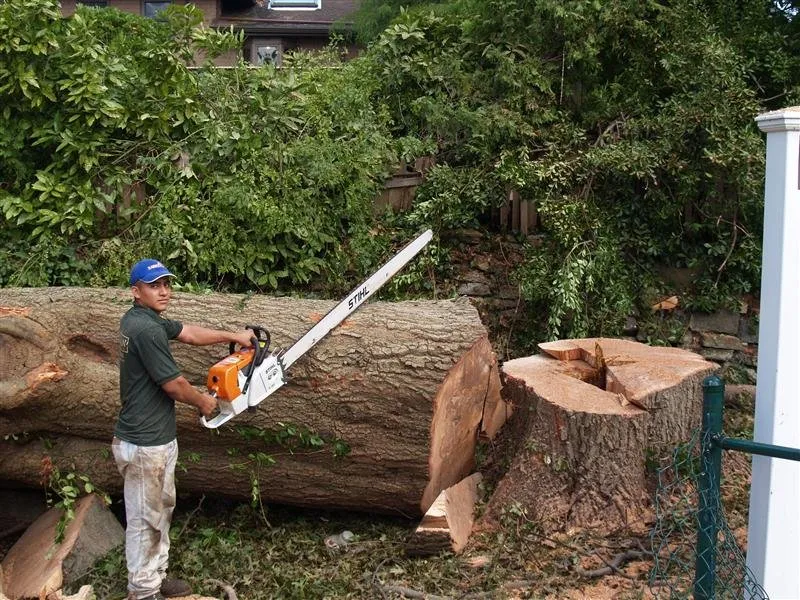 Trusted landscaping services with custom design across Kings Park, NY - Colgan Tree and Landscape Service