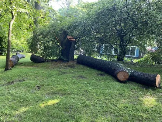 Colgan Tree and Landscape Service