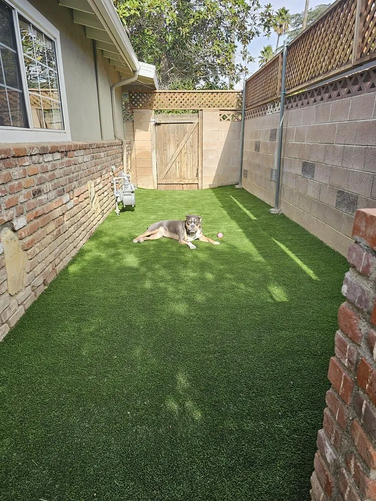 Expert lawn mowing service in Los Angeles, CA by Colibri Landscape & Design