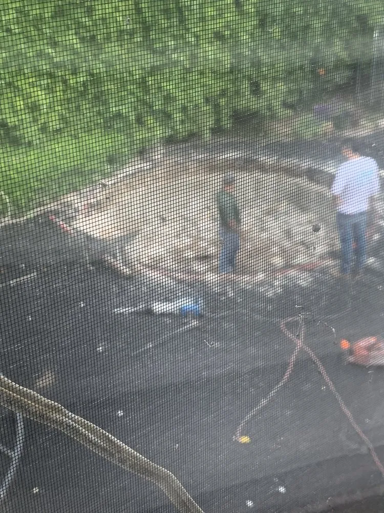 Affordable landscape design in Los Angeles, CA - Colibri Landscape & Design