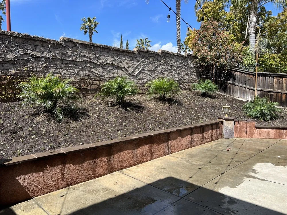 Local yard maintenance experts serving Los Angeles, CA - Colibri Landscape & Design