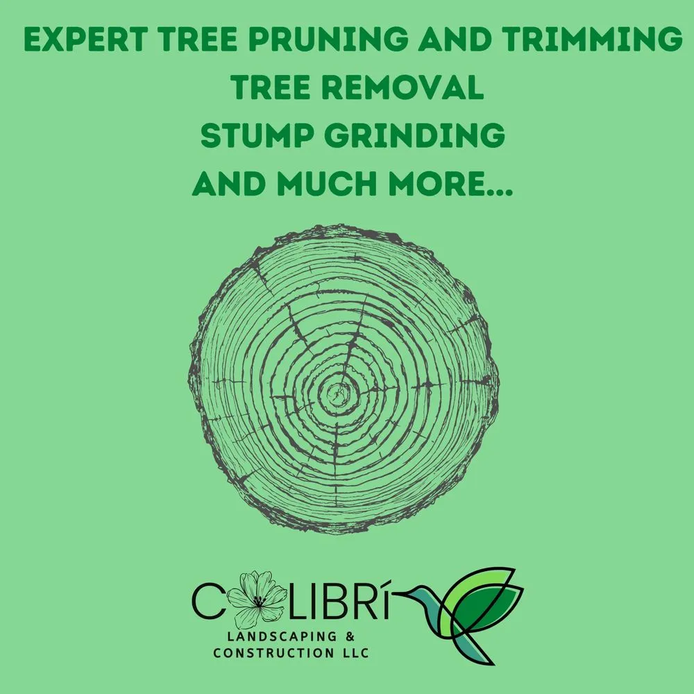 Reliable residential landscaping for beautiful yards across Wheaton, MD - Colibri Landscaping & Construction