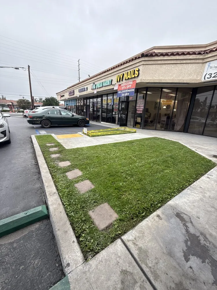 Reliable landscaping services in Compton, CA by Coliman Landscaping and Tree service