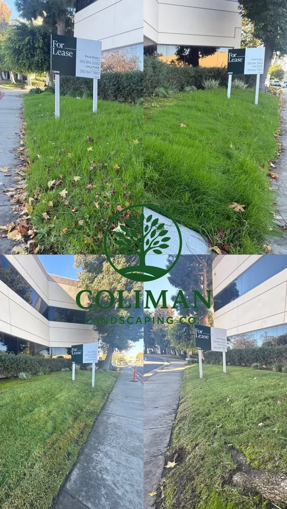 Trusted lawn care service for year-round maintenance across Compton, CA - Coliman Landscaping and Tree service