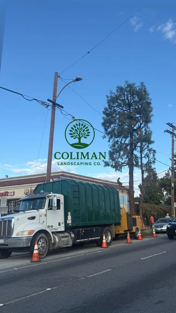 Reliable garden landscaping for residential properties across Compton, CA - Coliman Landscaping and Tree service