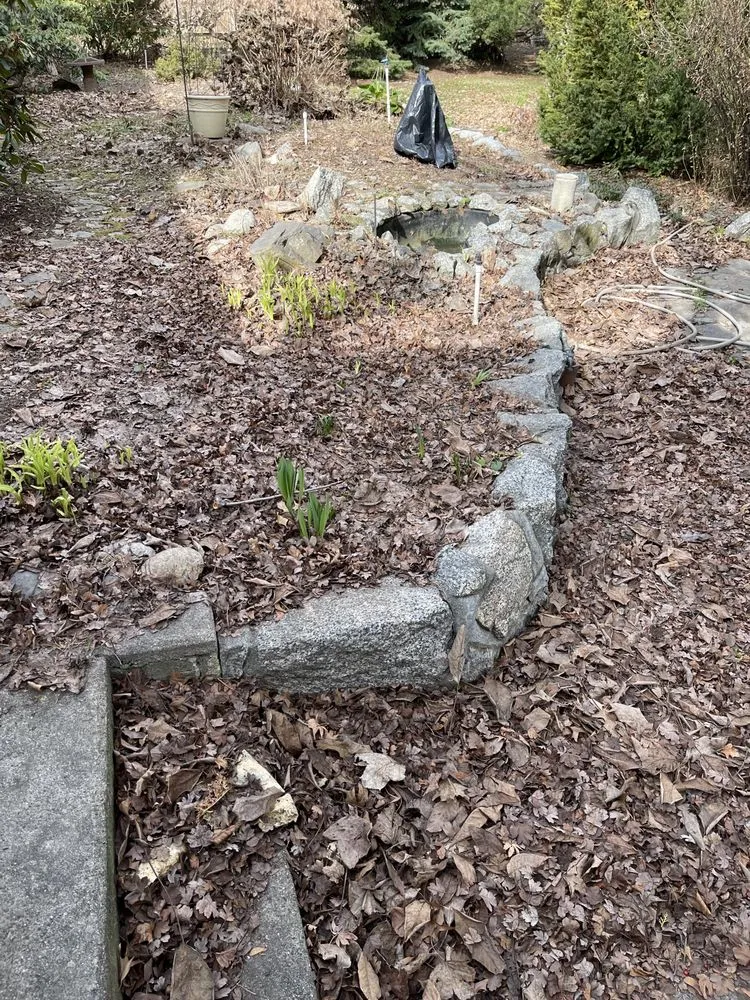 Trusted yard cleanup service in Rock Island, WA - Colima’s landscaping