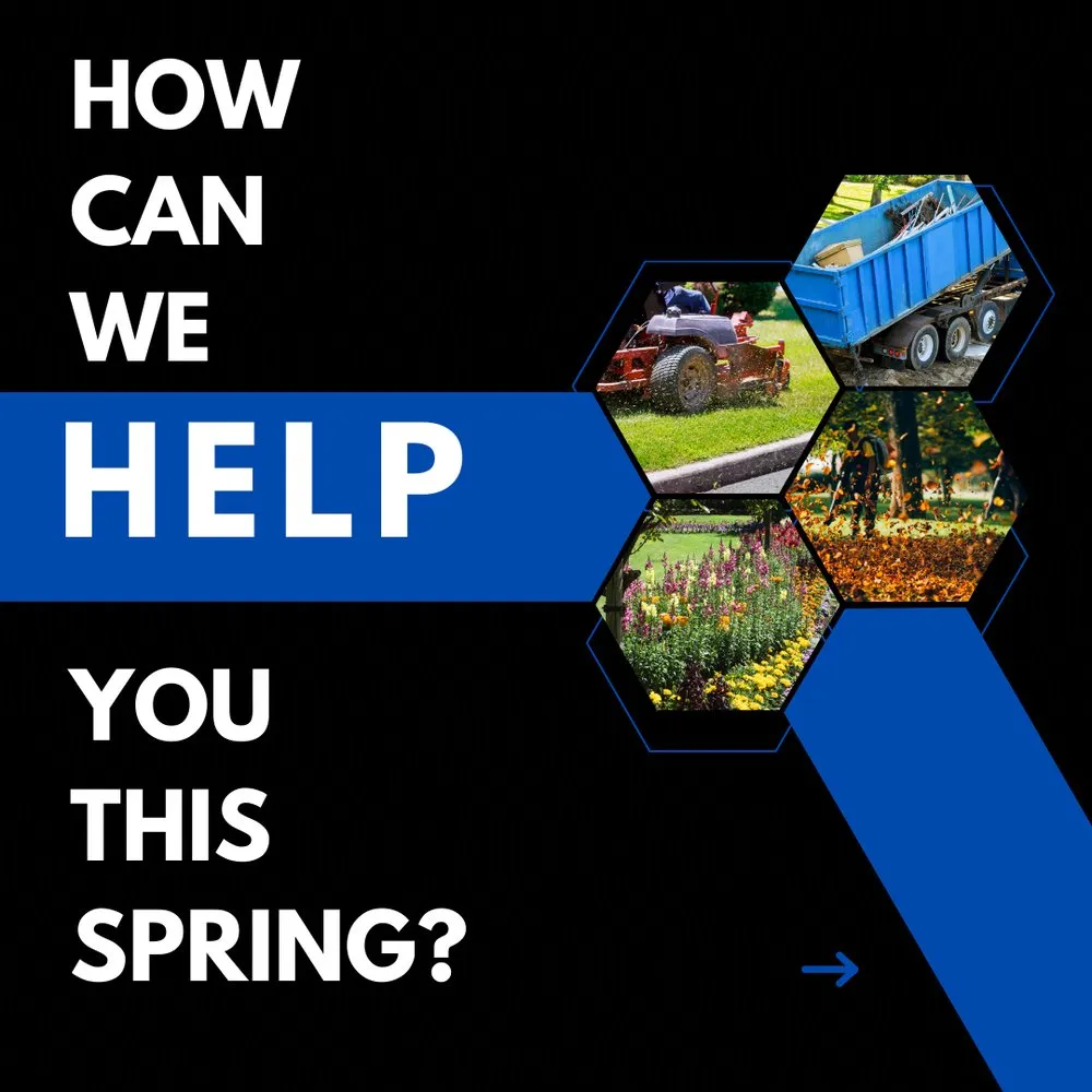 Professional residential landscaping experts serving Euclid, OH - Colin Can Help