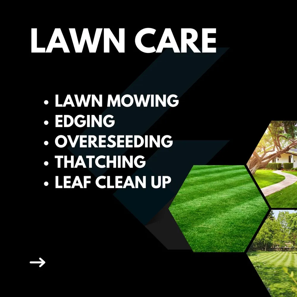 Expert yard maintenance experts serving Euclid, OH - Colin Can Help