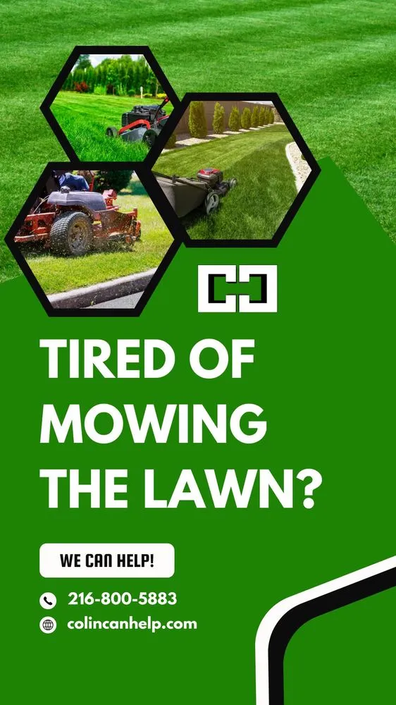 Trusted landscape installation for beautiful yards in Euclid, OH by Colin Can Help