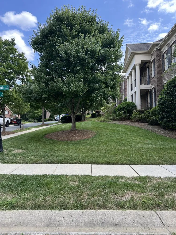 Custom residential landscaping in Concord, NC - Colin Cutz and Landscaping