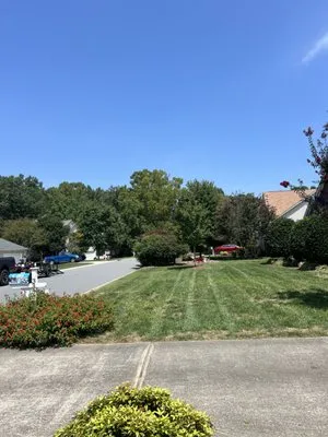 Colin Cutz and Landscaping Logo