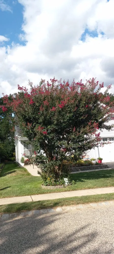 Reliable yard maintenance experts serving Browns Mills, NJ - Colin Griffin Landscaping