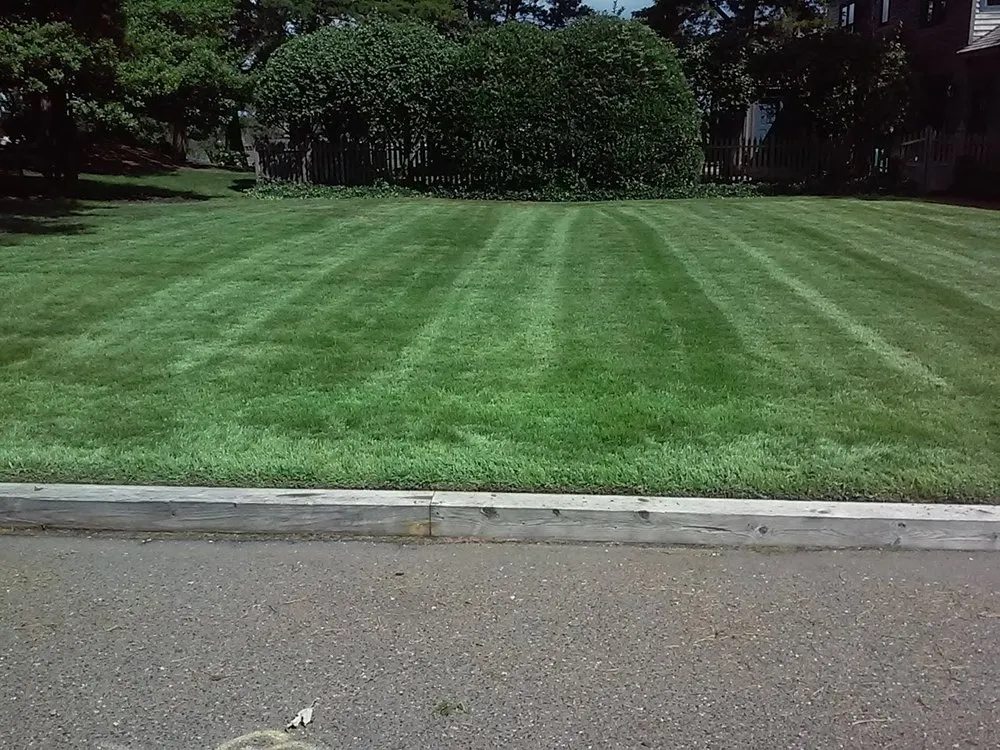 Custom yard cleanup service for beautiful yards across Pleasantville, NJ - Colin Landscaping