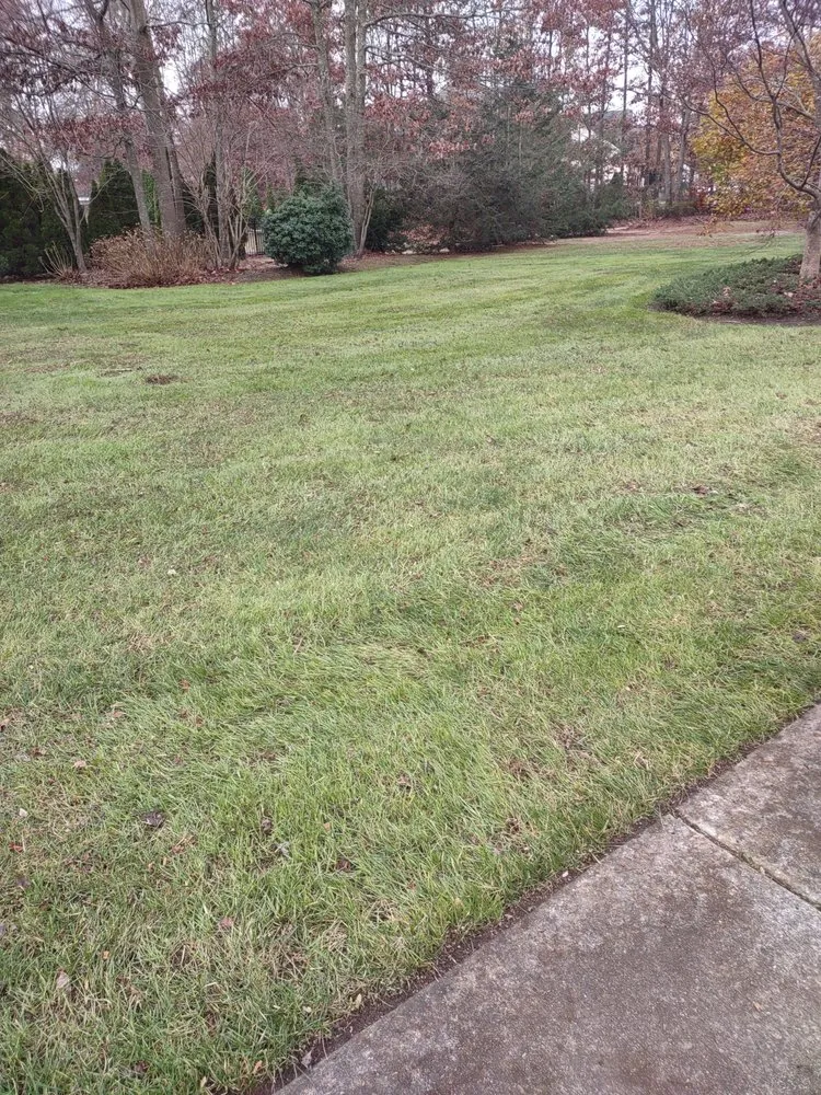 Top-rated landscape design near you across Pleasantville, NJ - Colin Landscaping